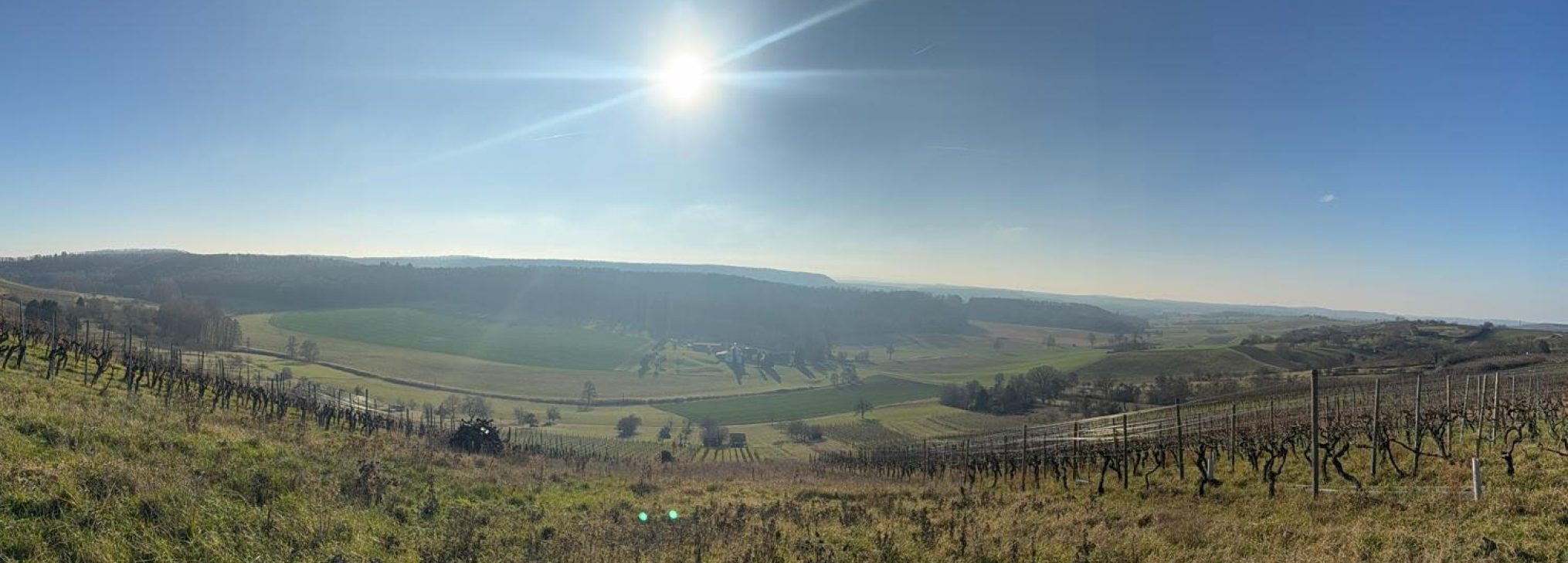 Schwäbischer Albverein | Ortsgruppe Sachsenheim